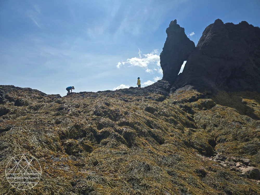 Kanada mit Kindern: Rundreise Nova Scotia