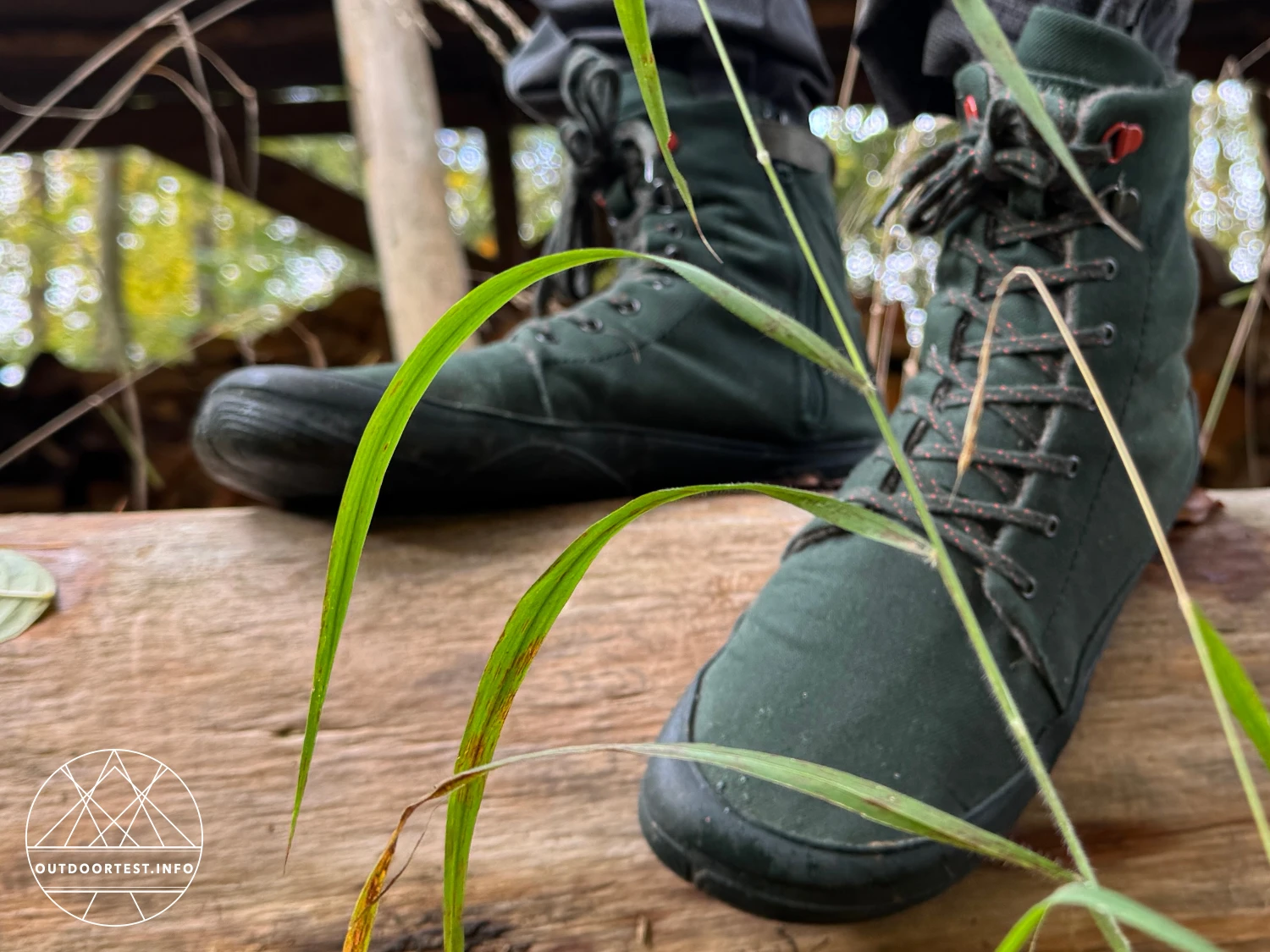 Wildling - Haldy pinie