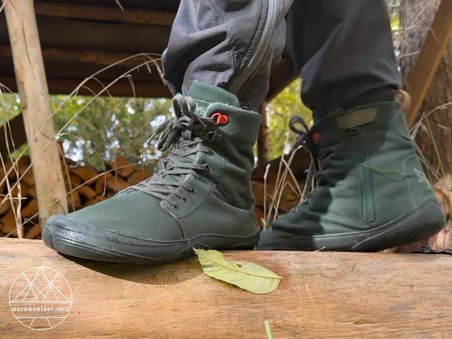 Wildling - Haldy pinie