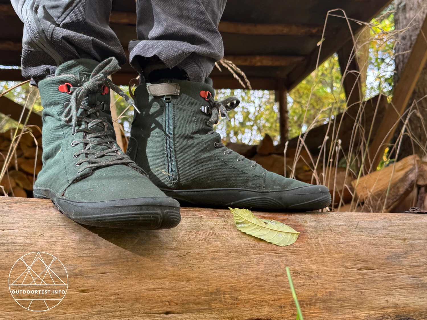 Wildling - Haldy pinie