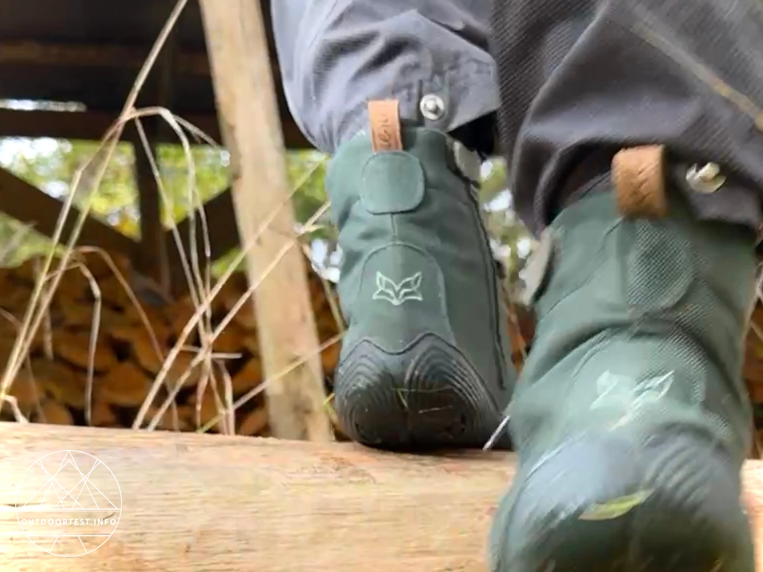 Wildling - Haldy pinie