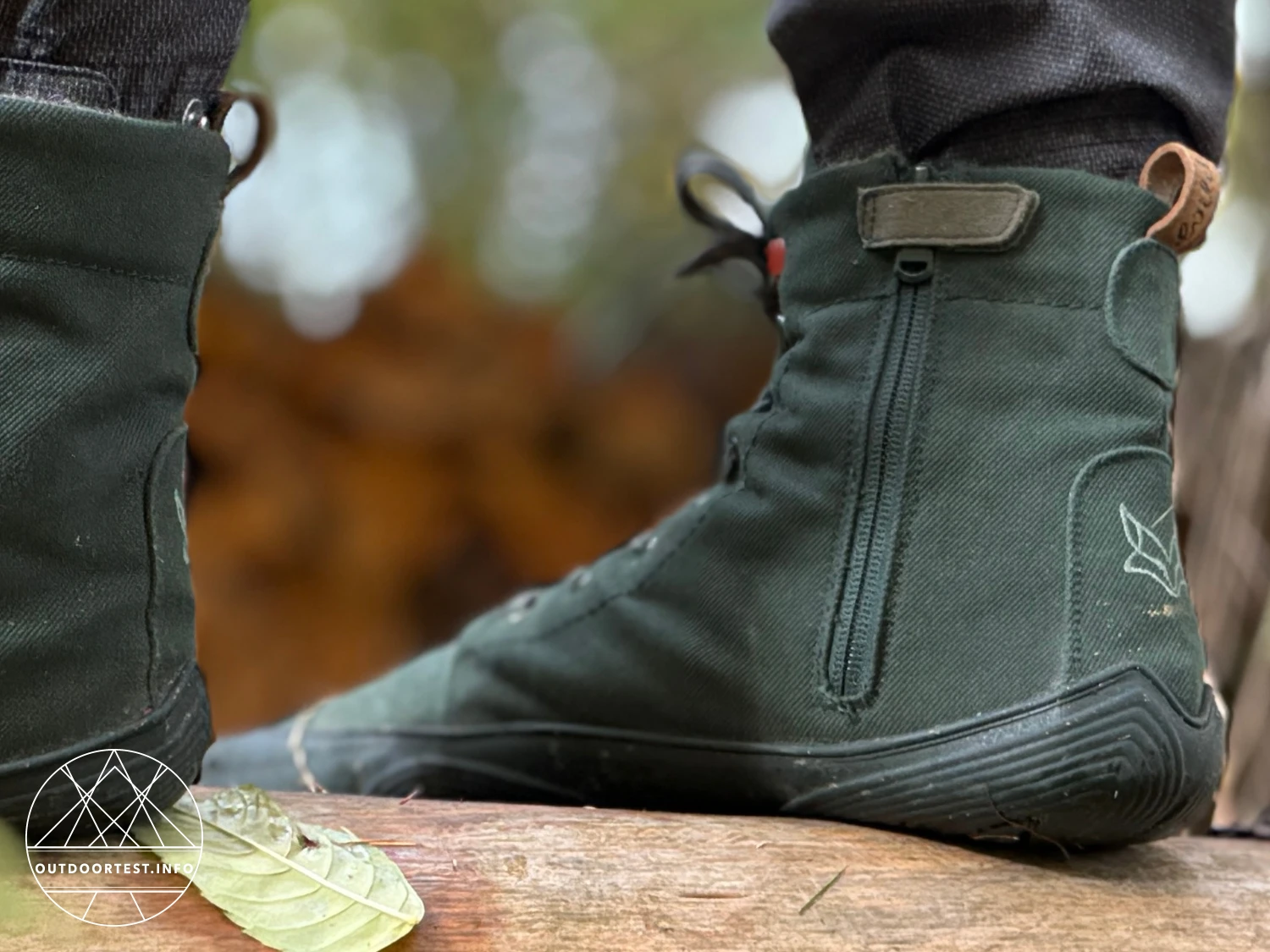 Wildling - Haldy pinie