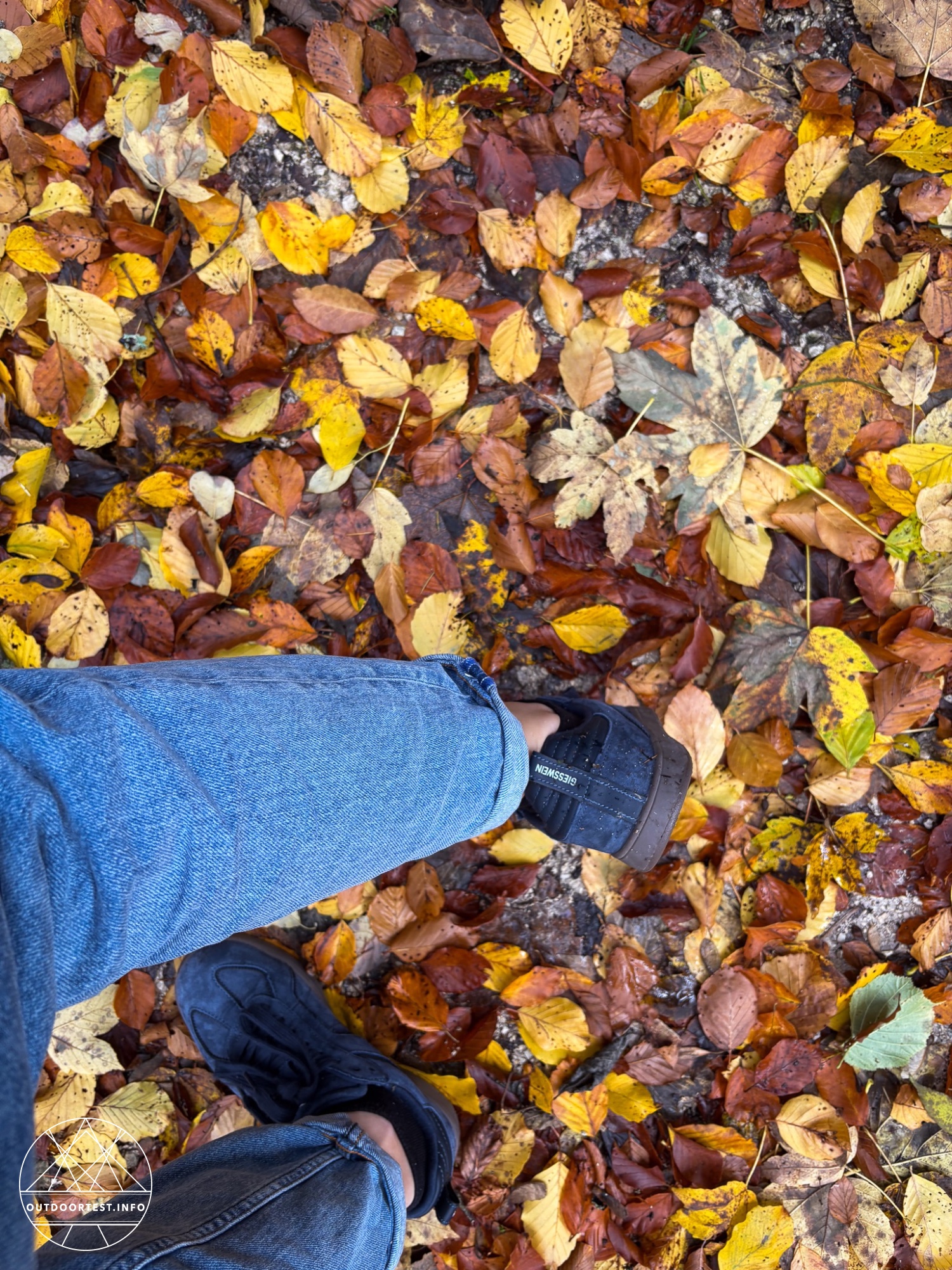 Giesswein - Merino Glide