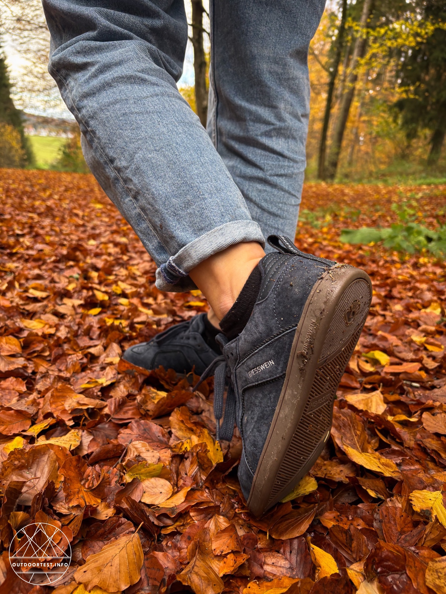 Giesswein - Merino Glide