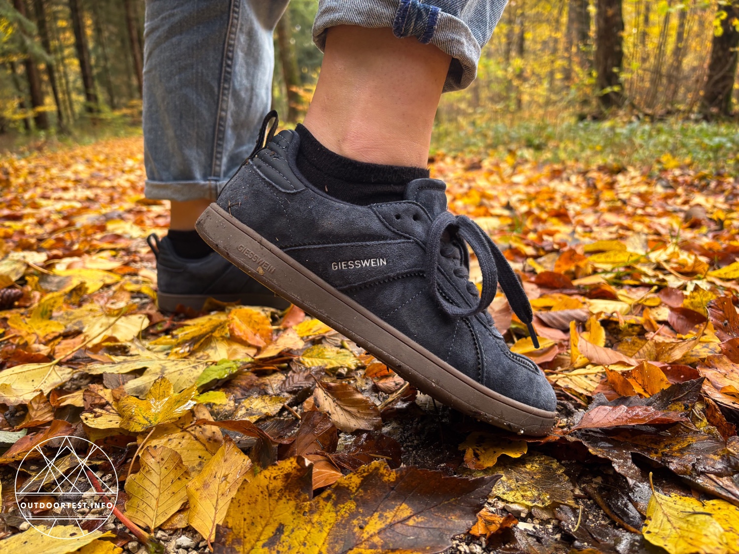 Giesswein - Merino Glide