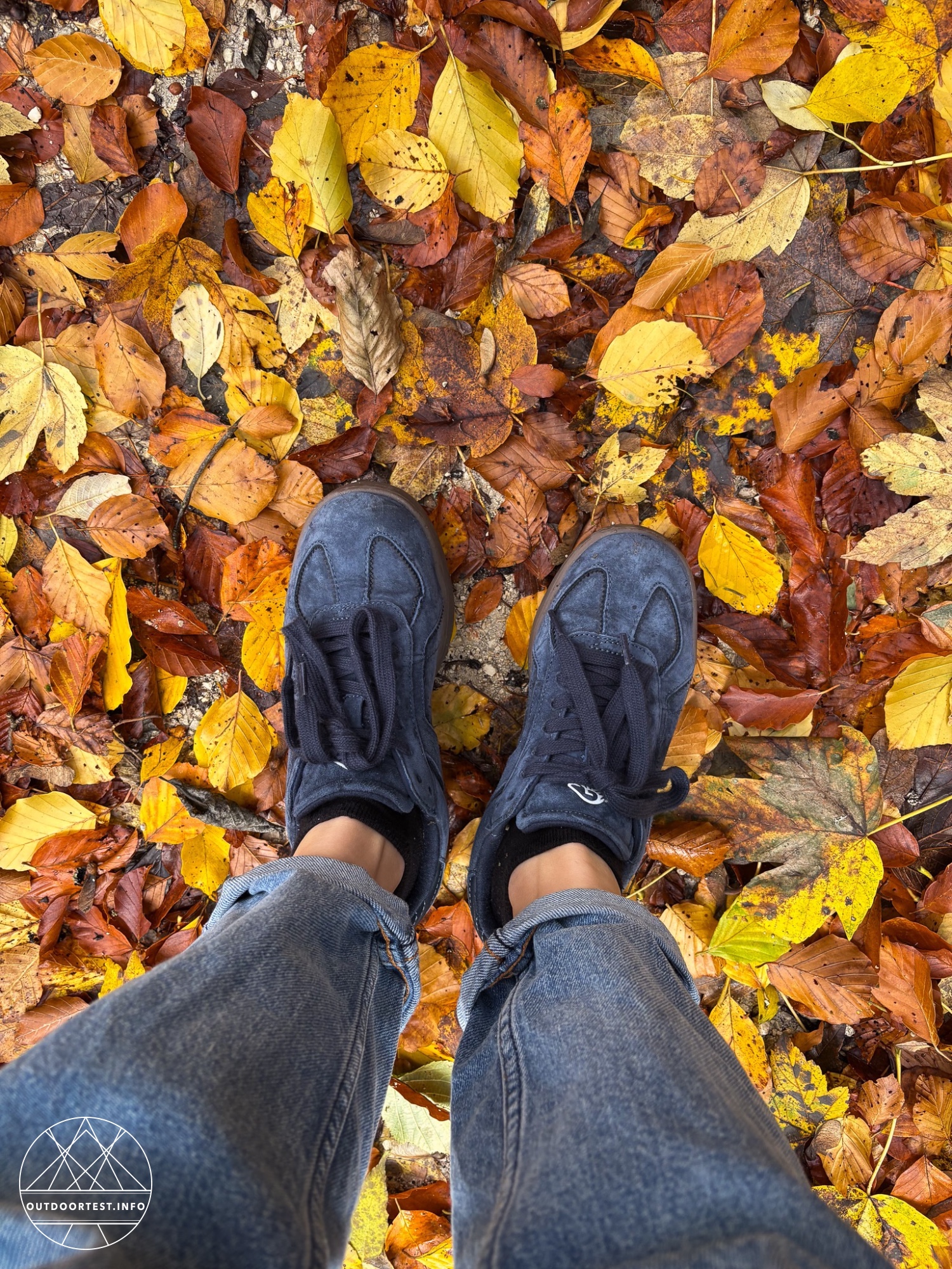 Giesswein - Merino Glide