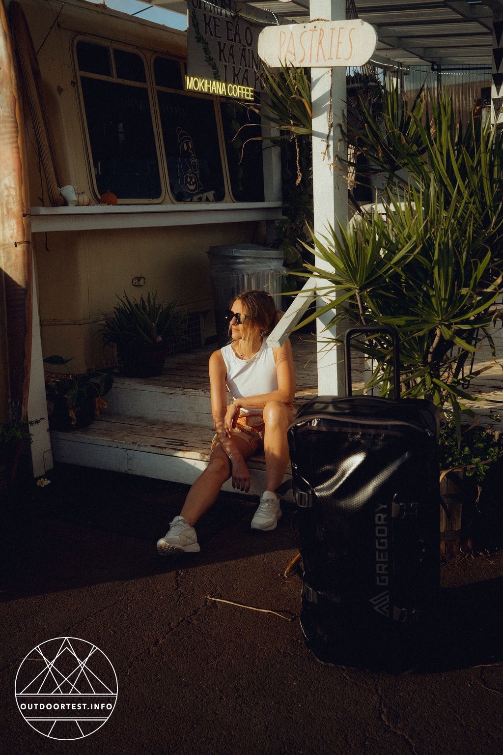 GREGORY Alpaca Wheeled Duffle 100