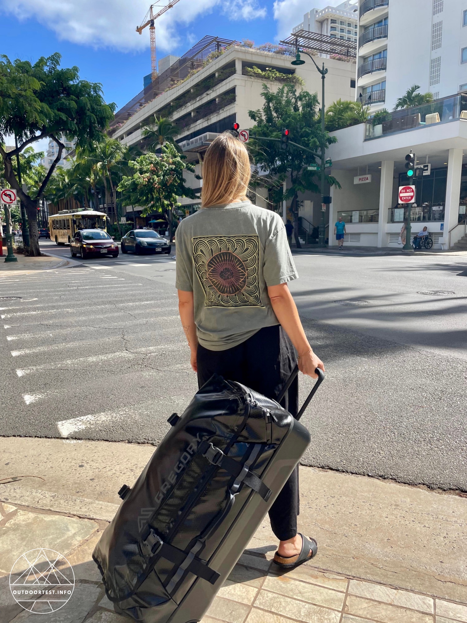 GREGORY Alpaca Wheeled Duffle 100