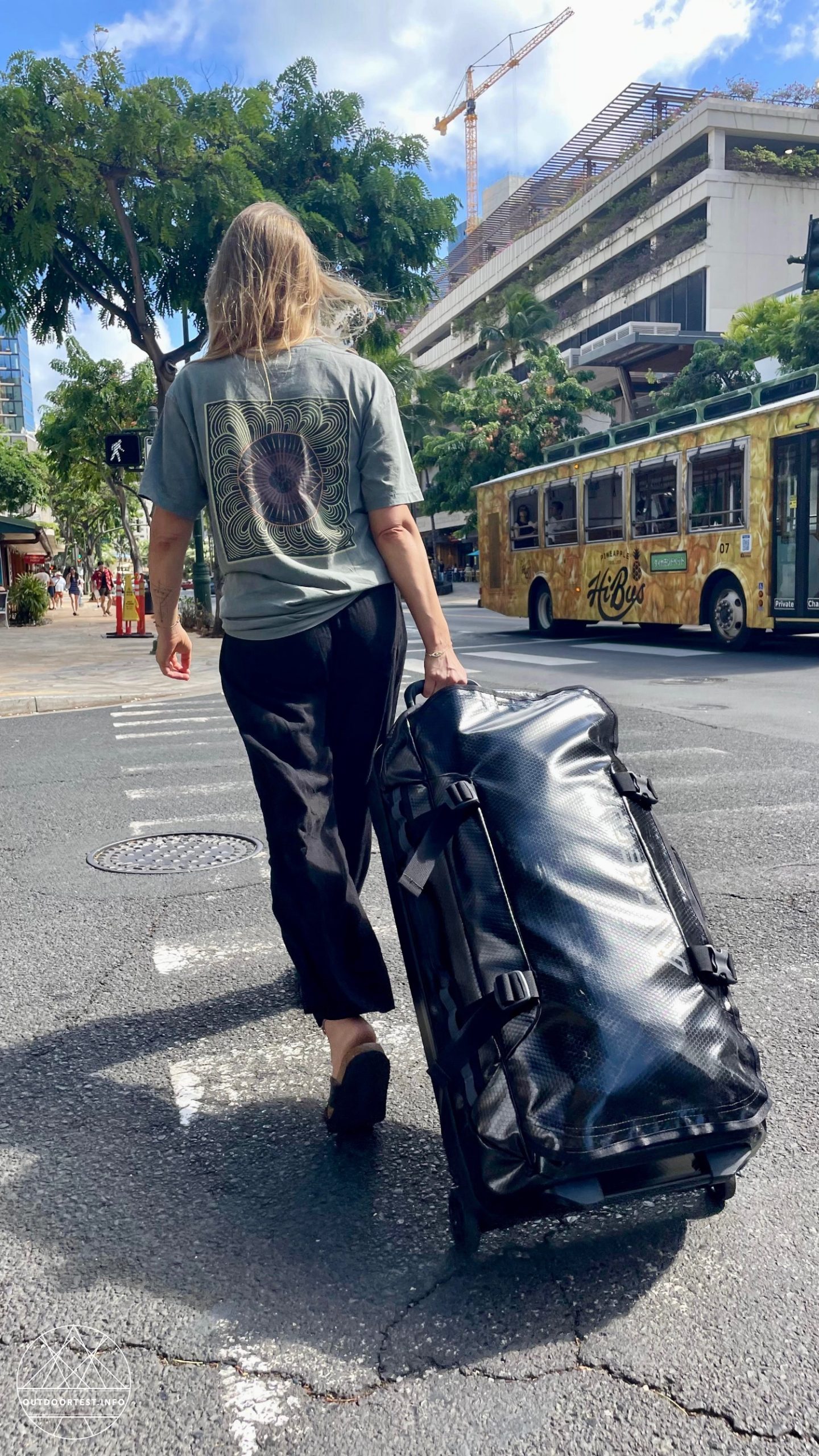 GREGORY Alpaca Wheeled Duffle 100