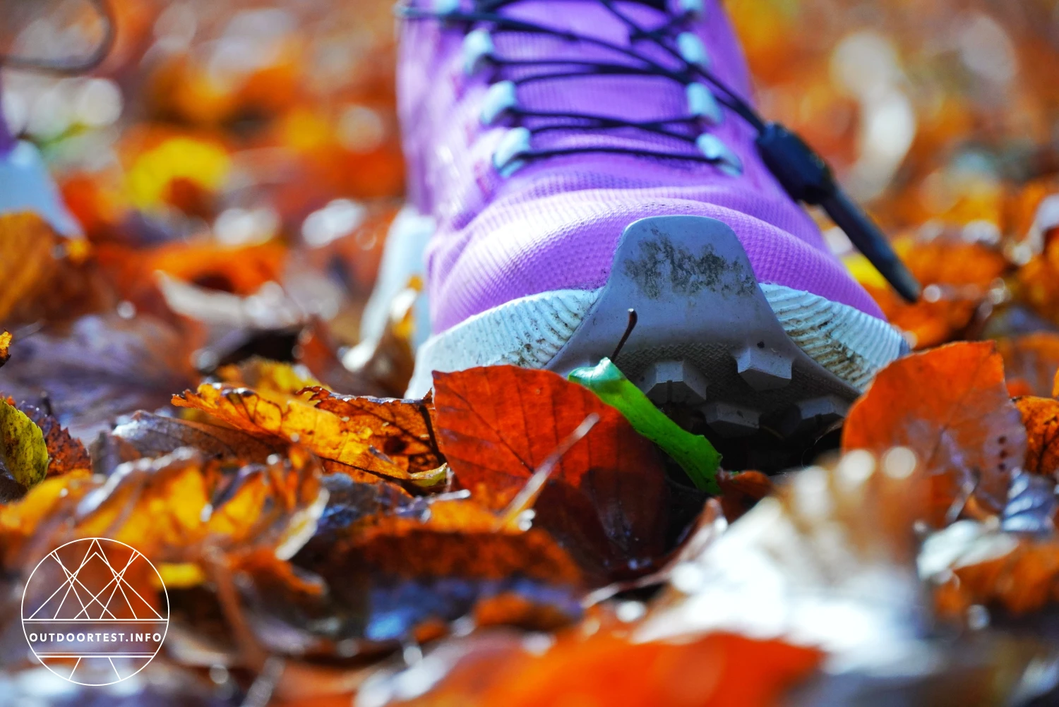 Salomon - Pulsar Trailrunning-Schuh