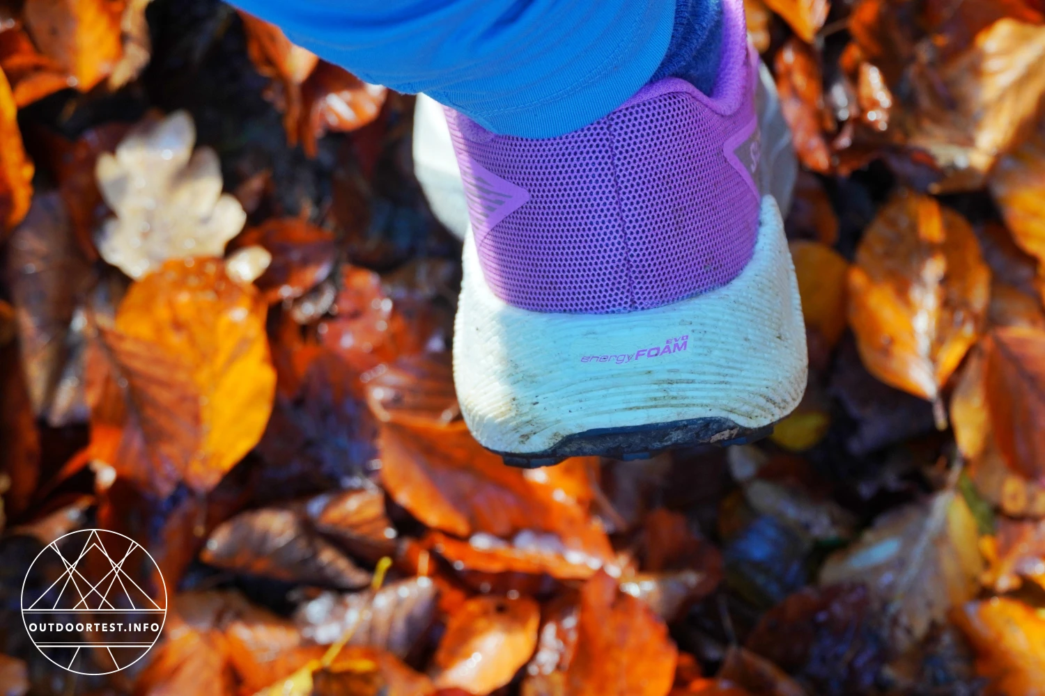 Salomon - Pulsar Trailrunning-Schuh