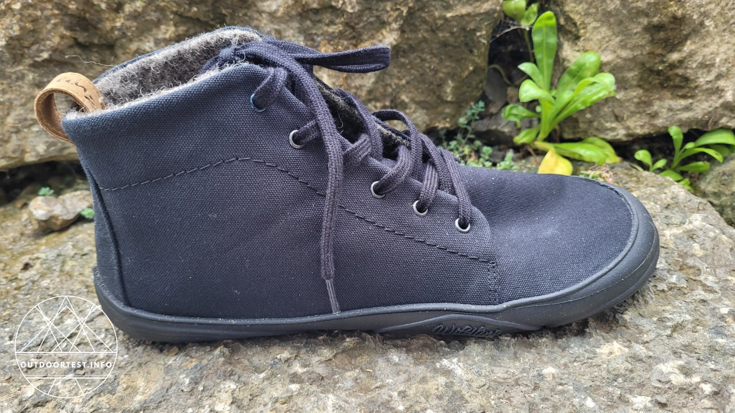 Wildling - Canva ash