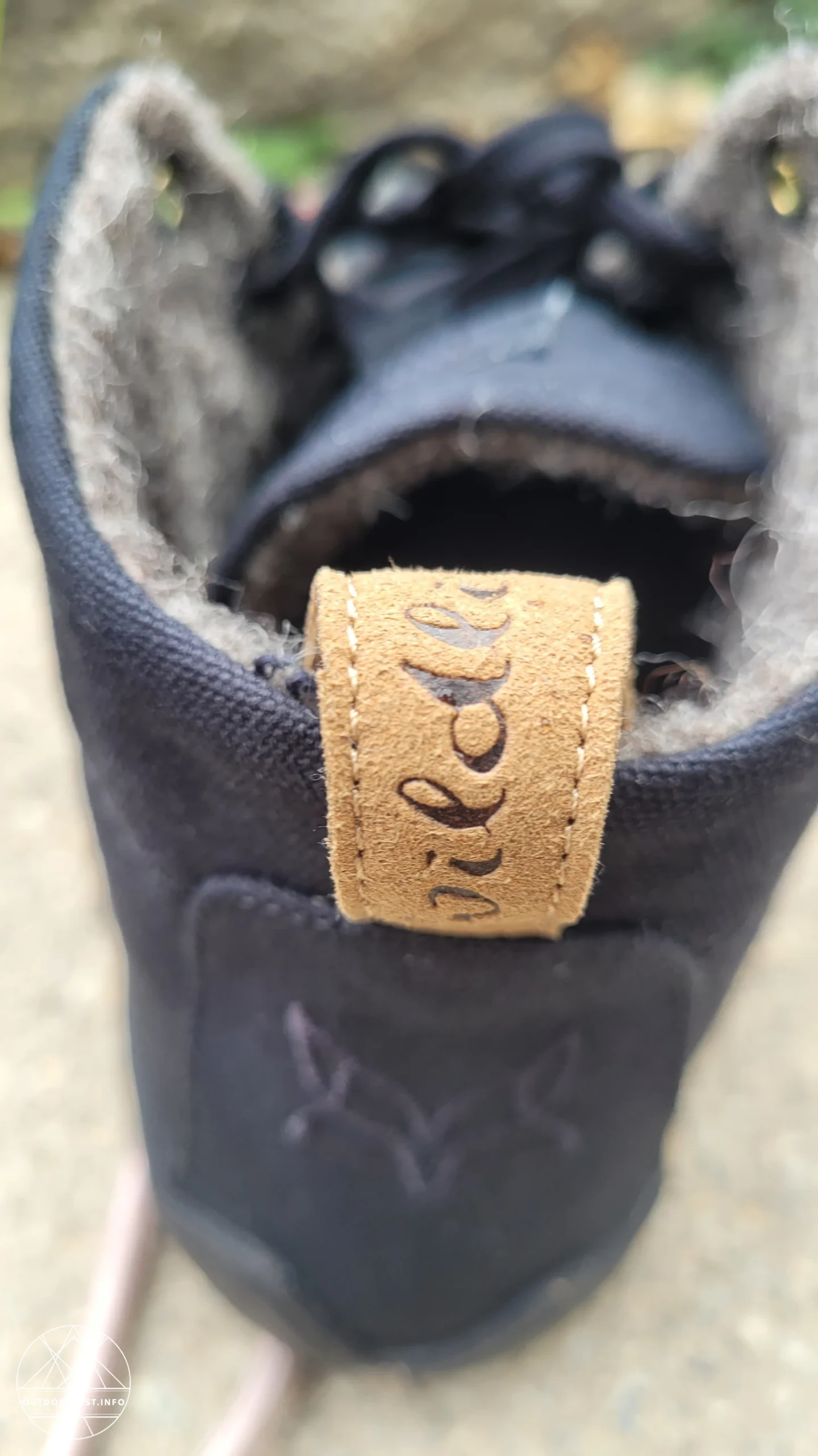 Wildling - Canva ash