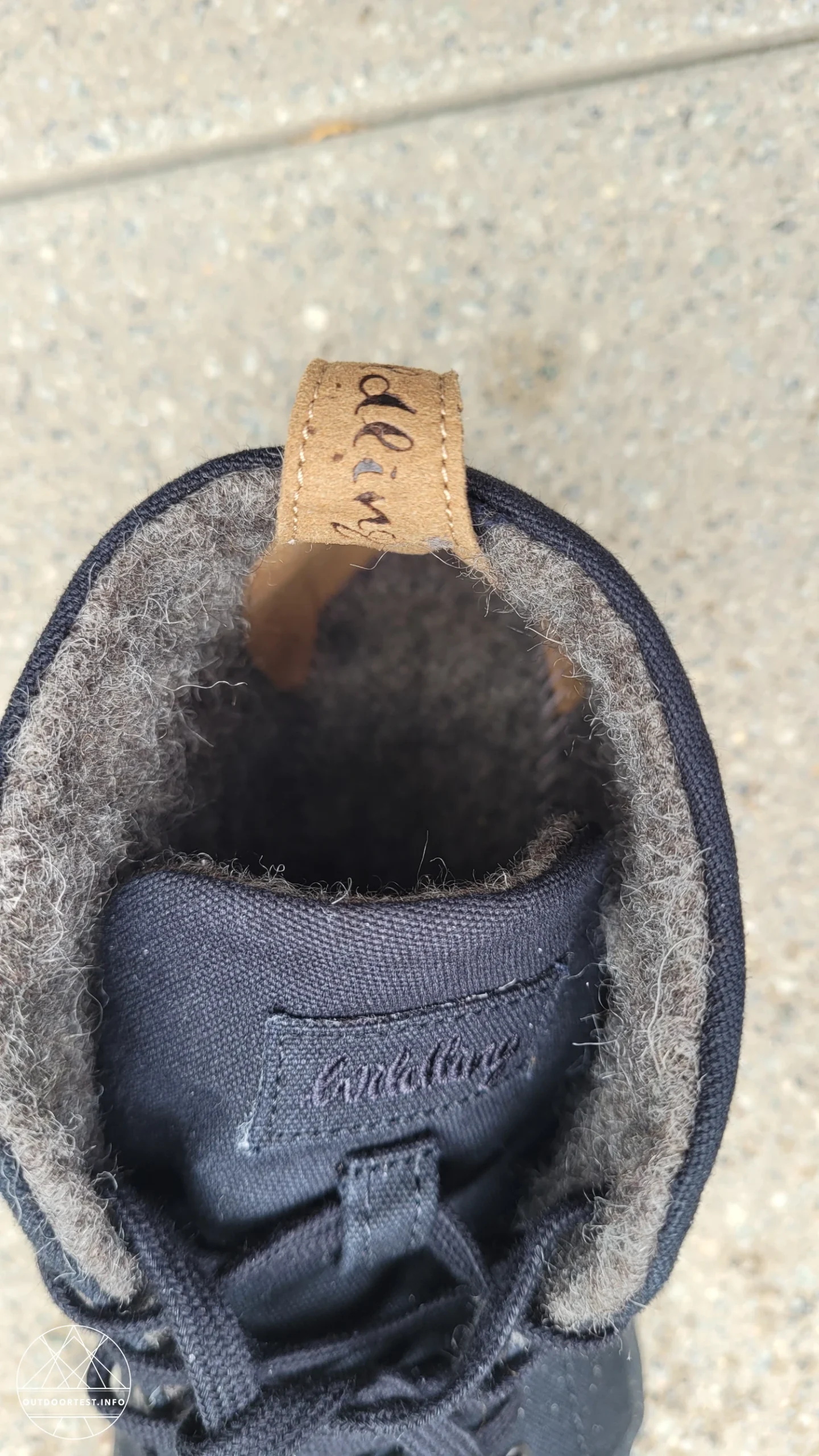 Wildling - Canva ash