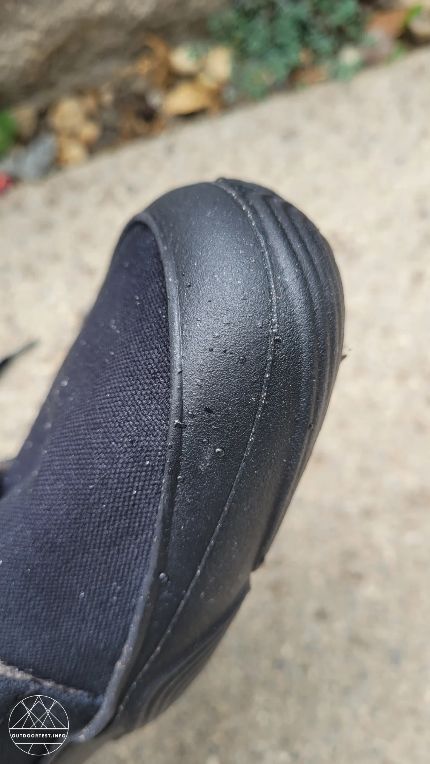 Wildling - Canva ash