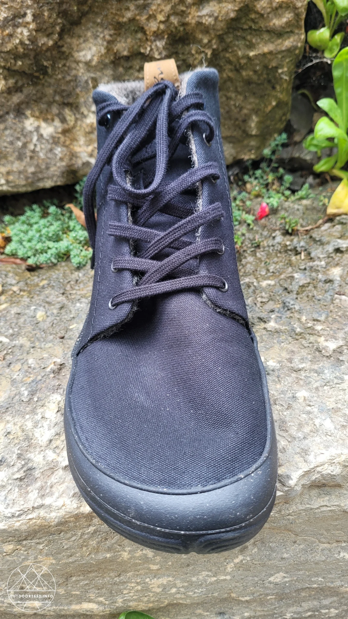 Wildling - Canva ash