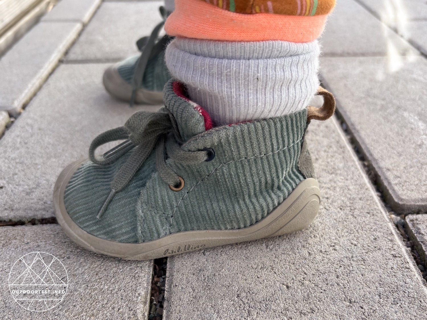 Wildling - Kordian sage