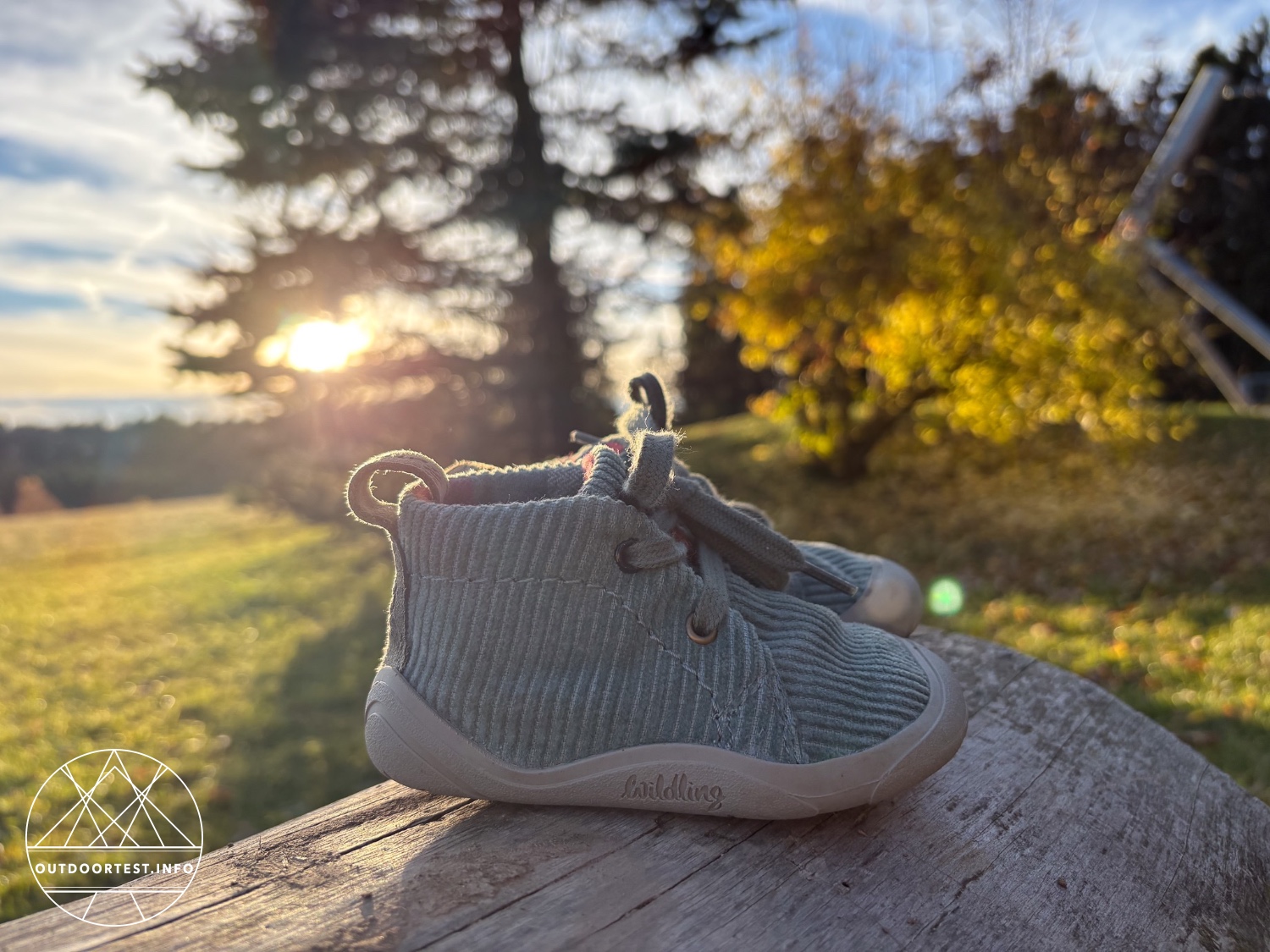 Wildling - Kordian sage