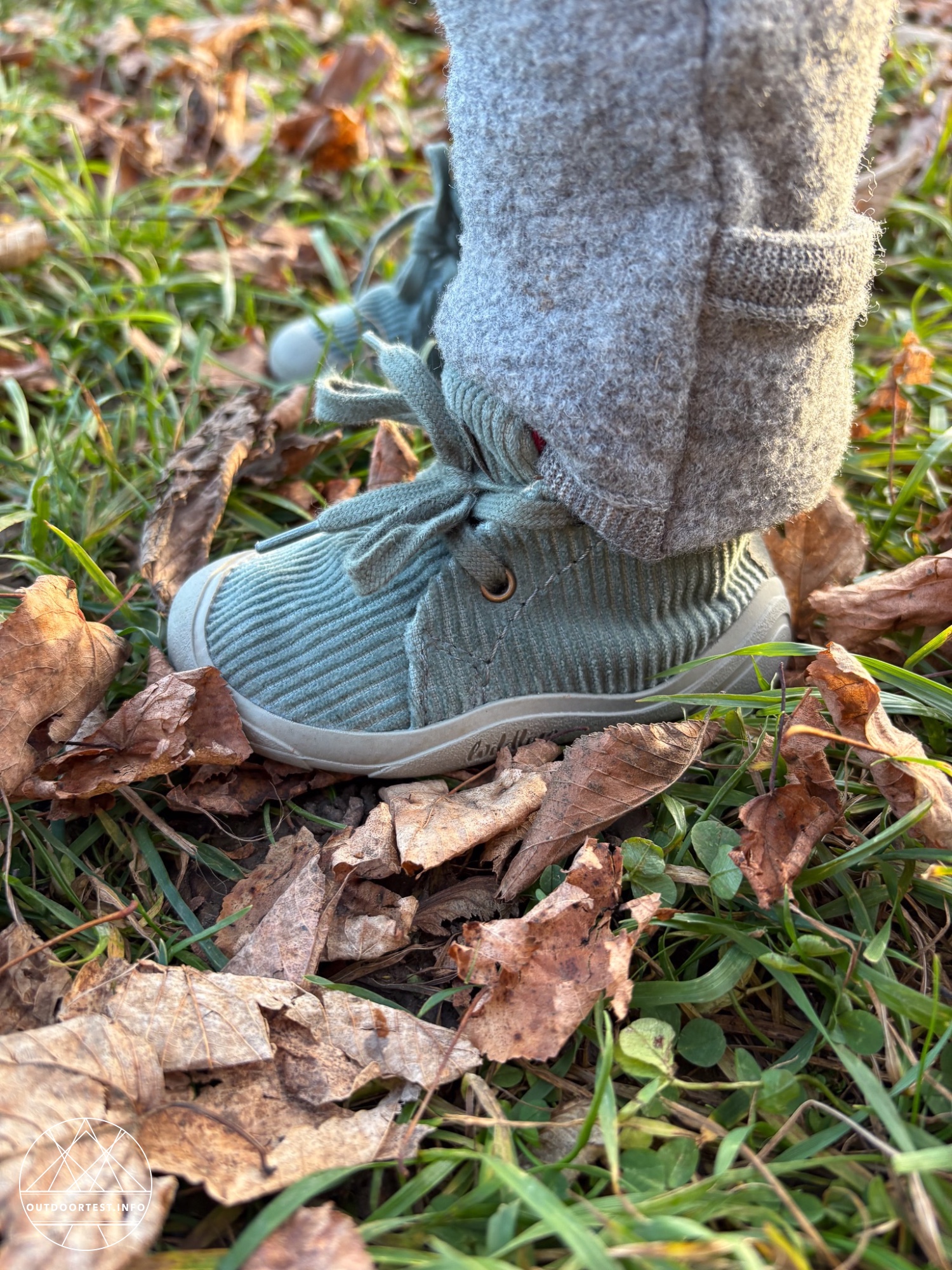 Wildling - Kordian sage