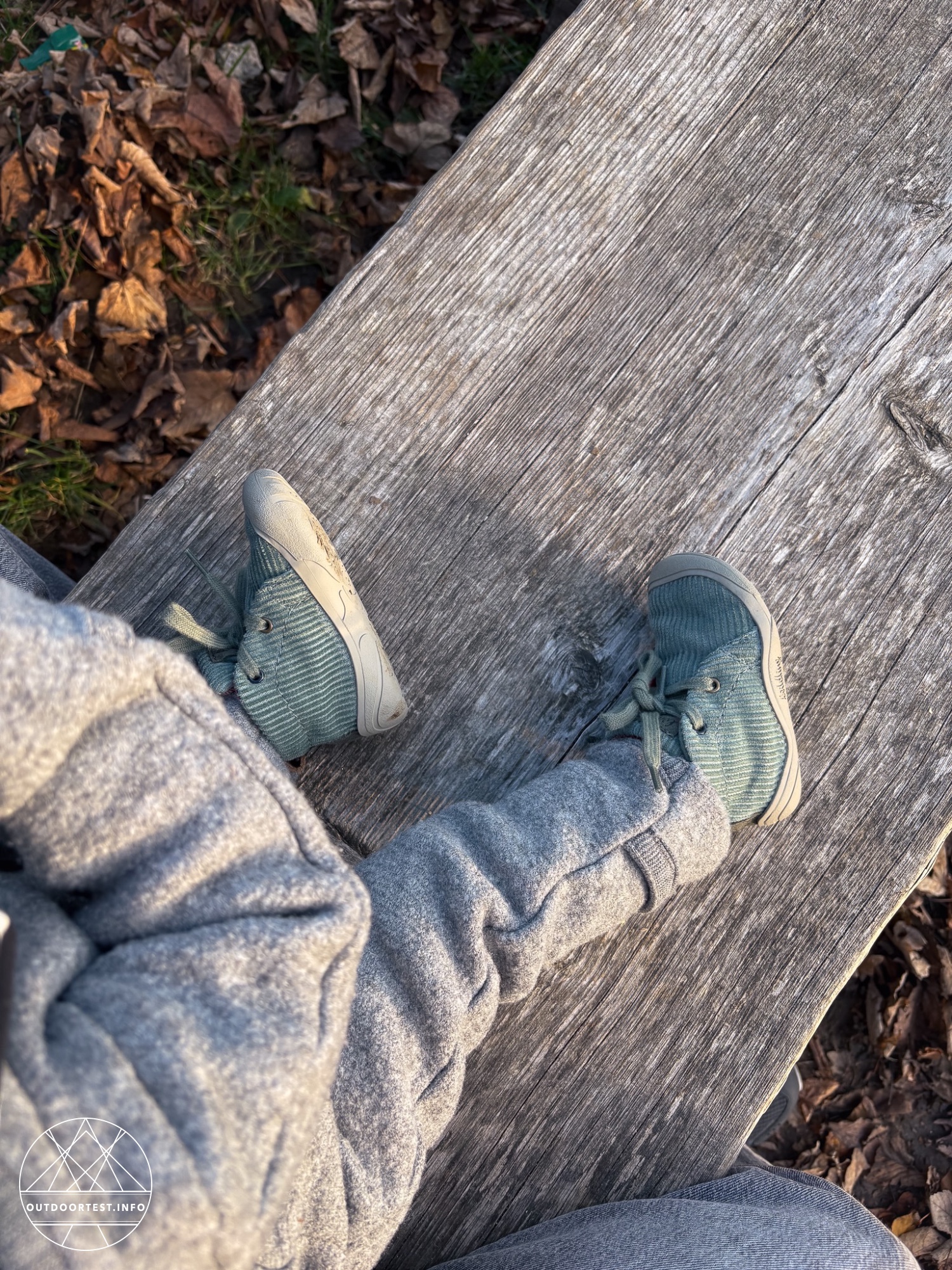 Wildling - Kordian sage