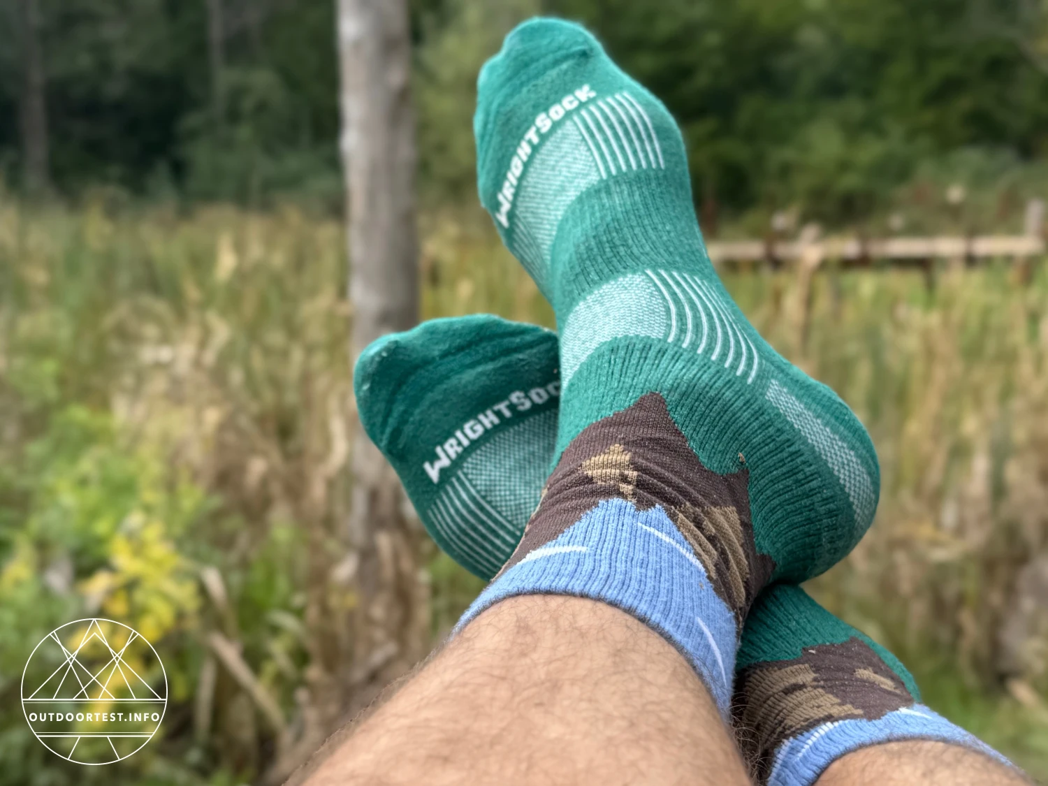 Wrightsock - STRIDE Wandersocke mit Bergmotiv