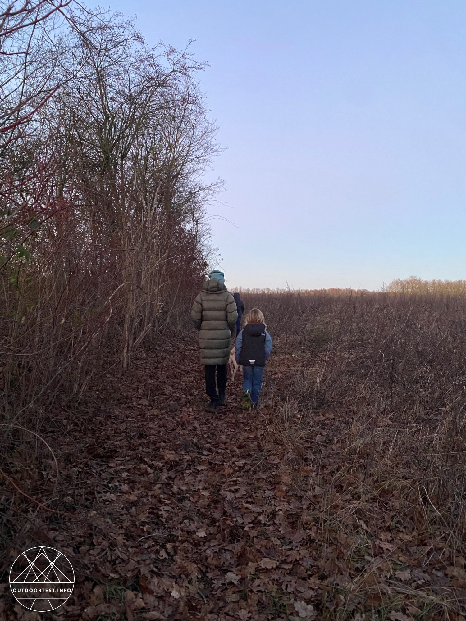 Montane - Women's Polaron XT Hooded Down Jacket