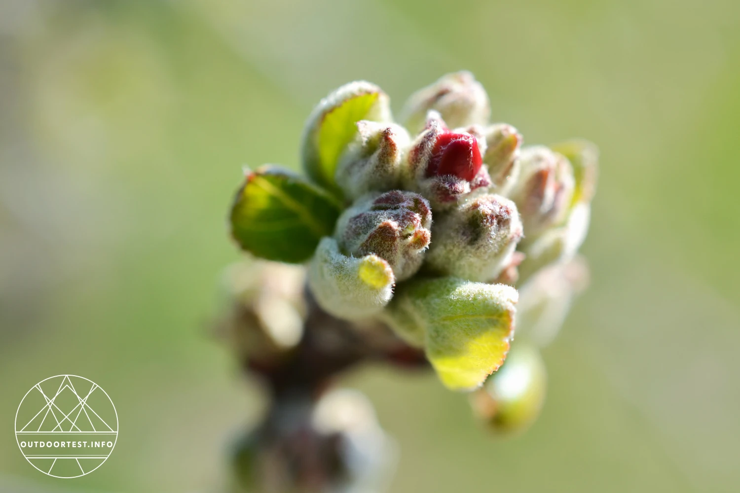 Hoch über dem Tal: aktiv, entspannt und verzaubert im Golserhof