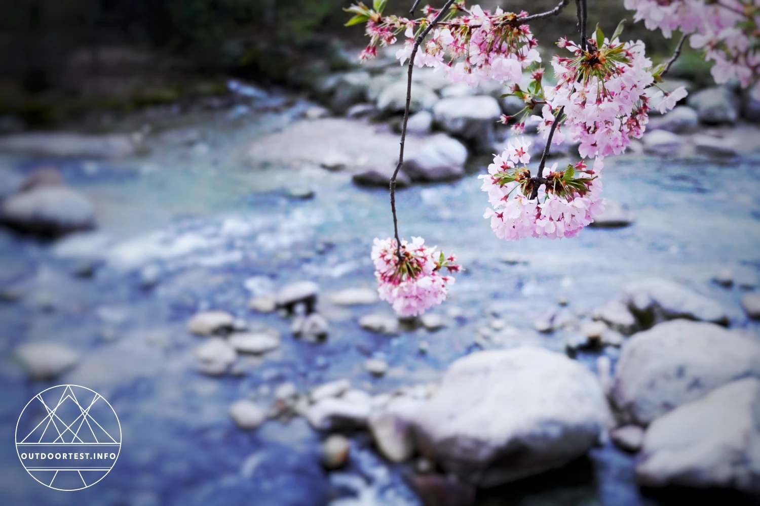 Hoch über dem Tal: aktiv, entspannt und verzaubert im Golserhof