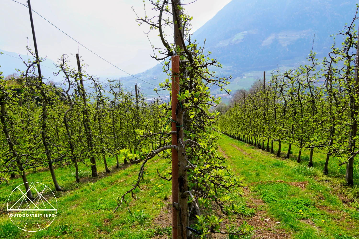 Hoch über dem Tal: aktiv, entspannt und verzaubert im Golserhof