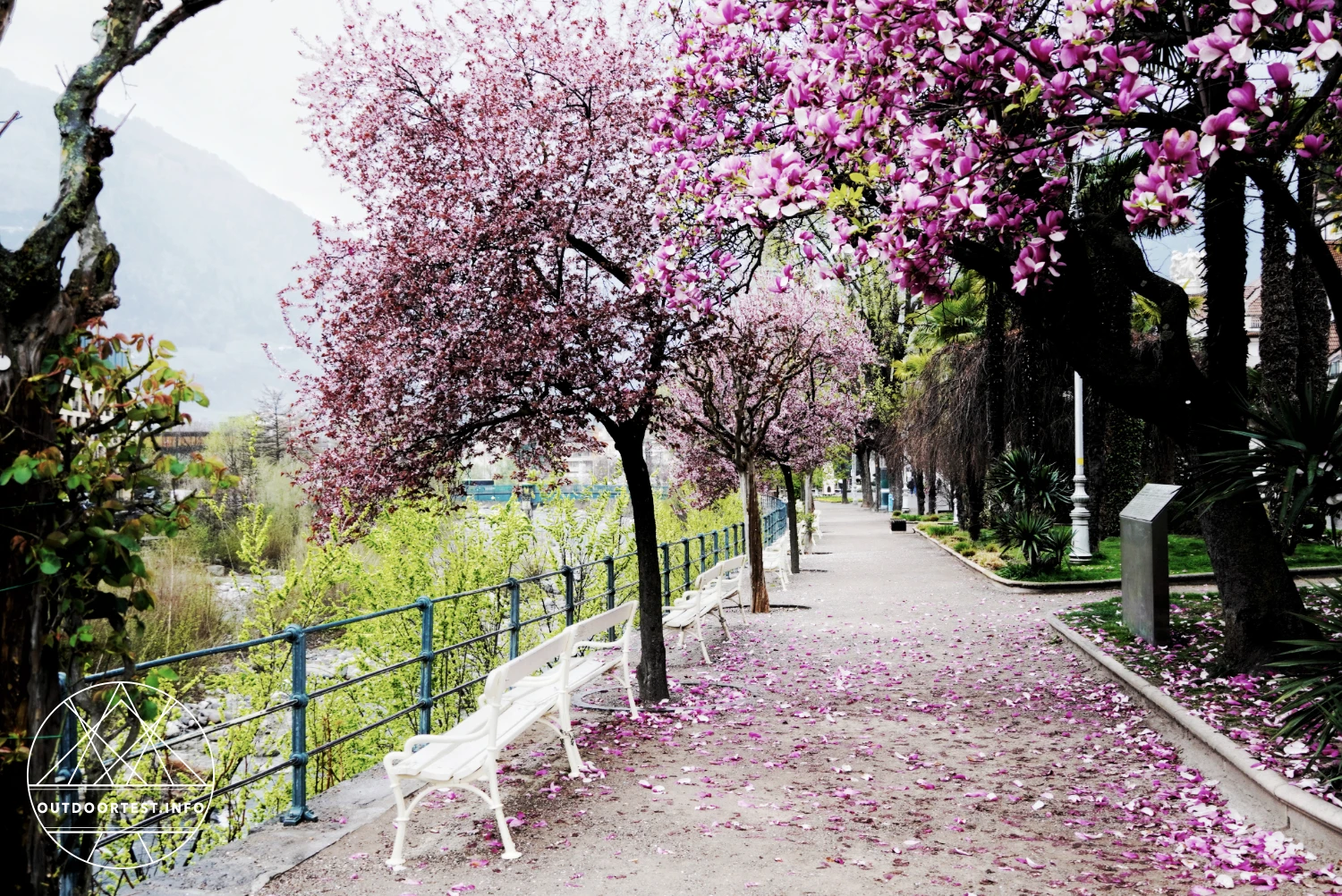 Hoch über dem Tal: aktiv, entspannt und verzaubert im Golserhof