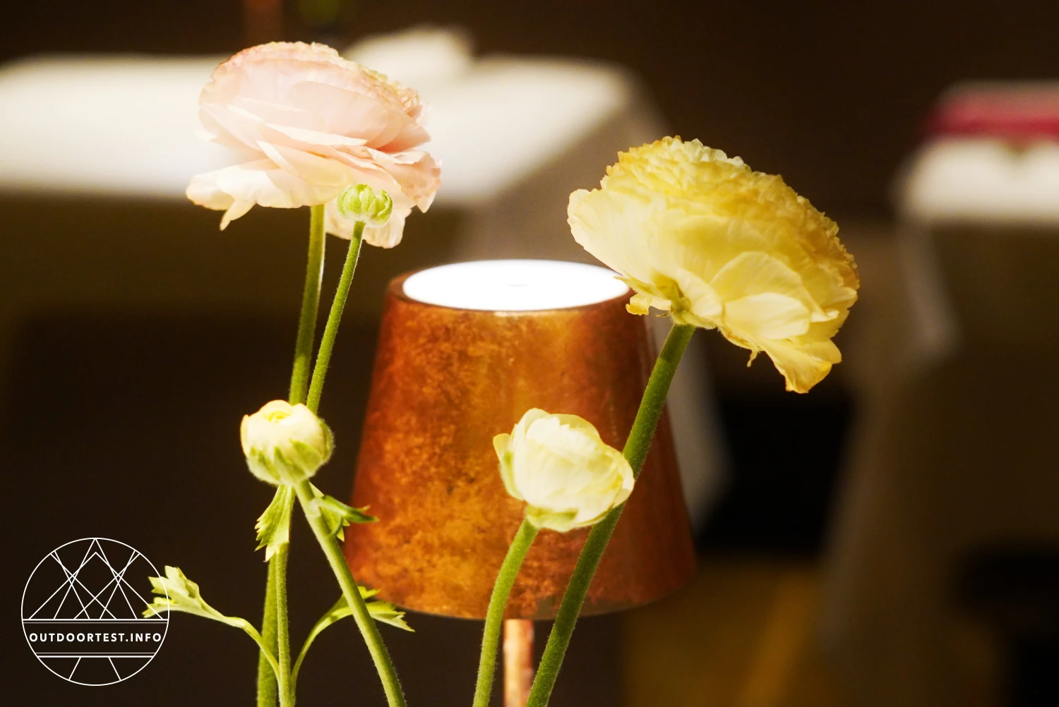 Hoch über dem Tal: aktiv, entspannt und verzaubert im Golserhof