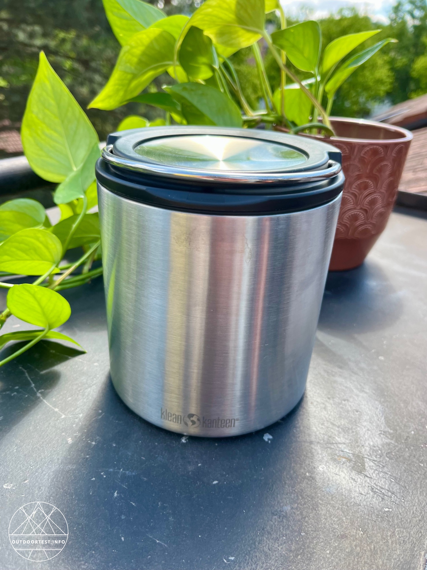 clean kanteen Edelstahl Isolierbehälter TKCanister 946 ml
