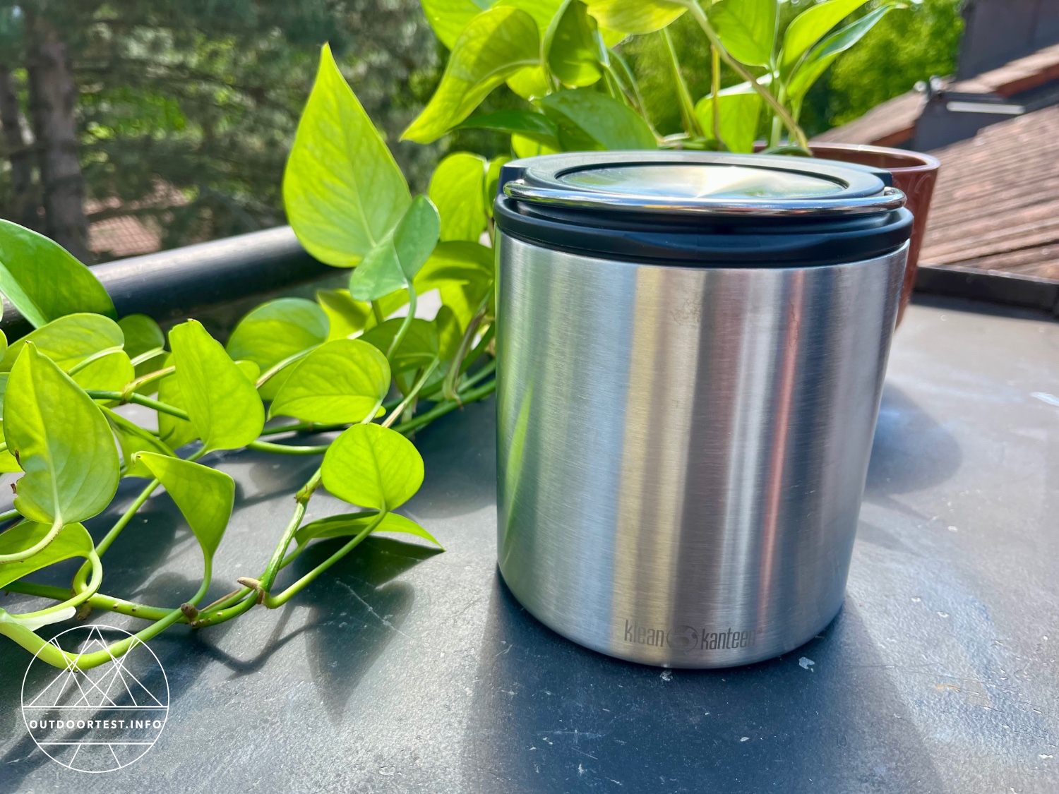 clean kanteen Edelstahl Isolierbehälter TKCanister 946 ml