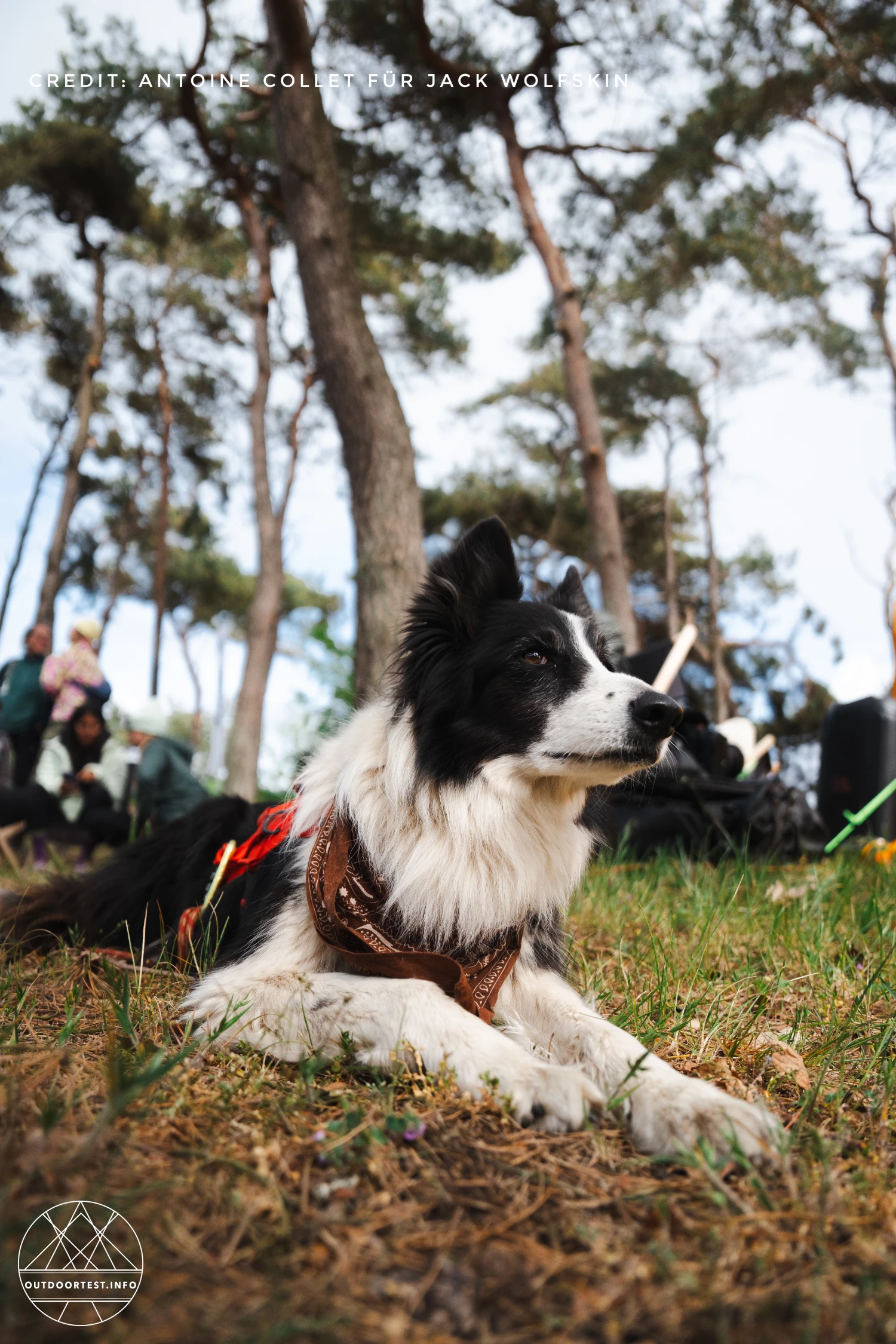 Wolf Trail Rügen: 93 Kilometer zwischen Kreide, Küste und Lagerfeuerstimmung