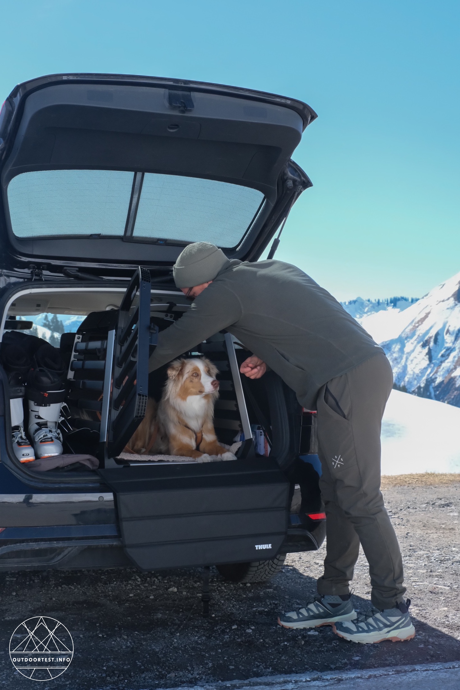 Thule - Allax M Hundebox