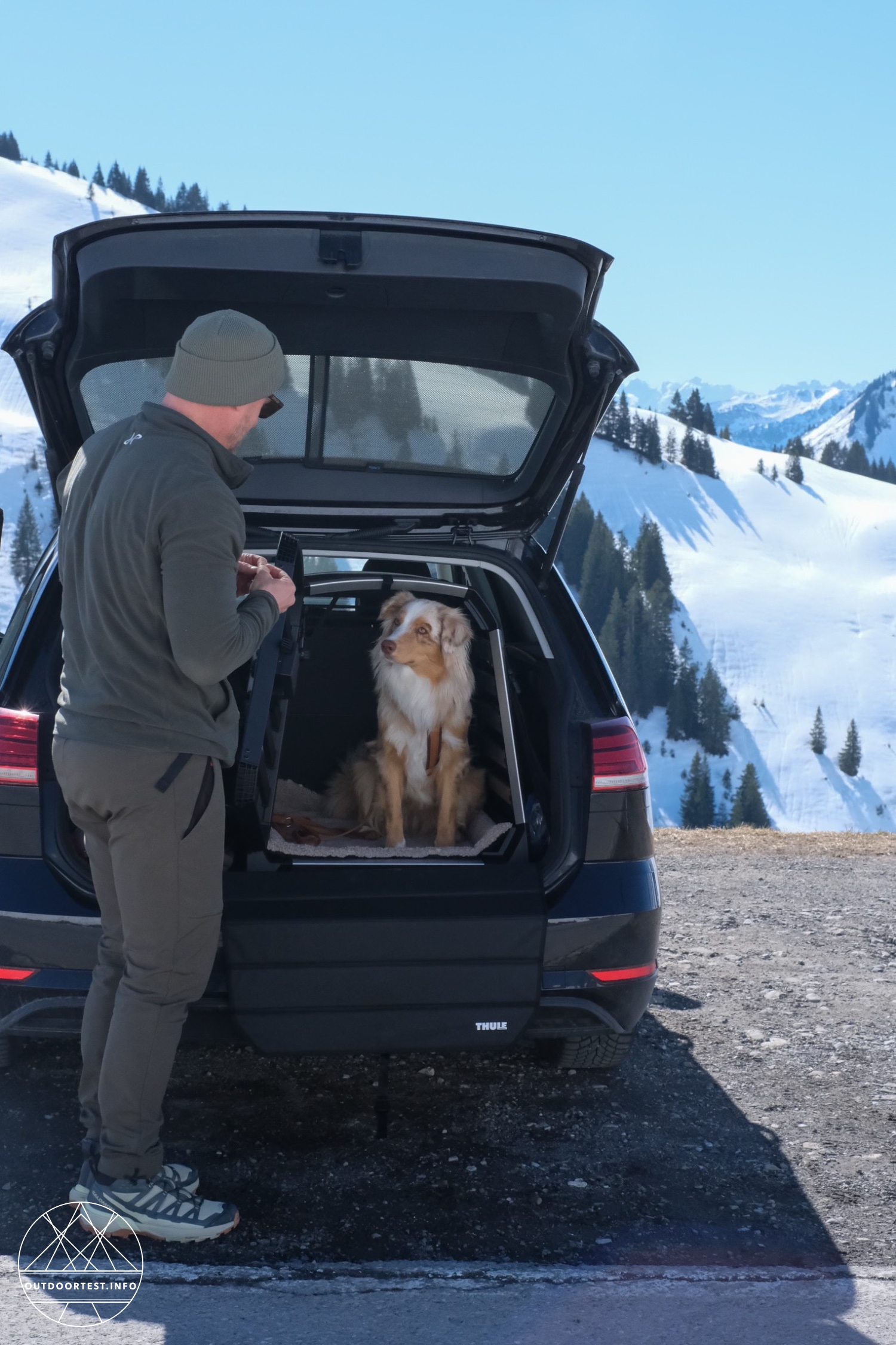 Thule - Allax M Hundebox