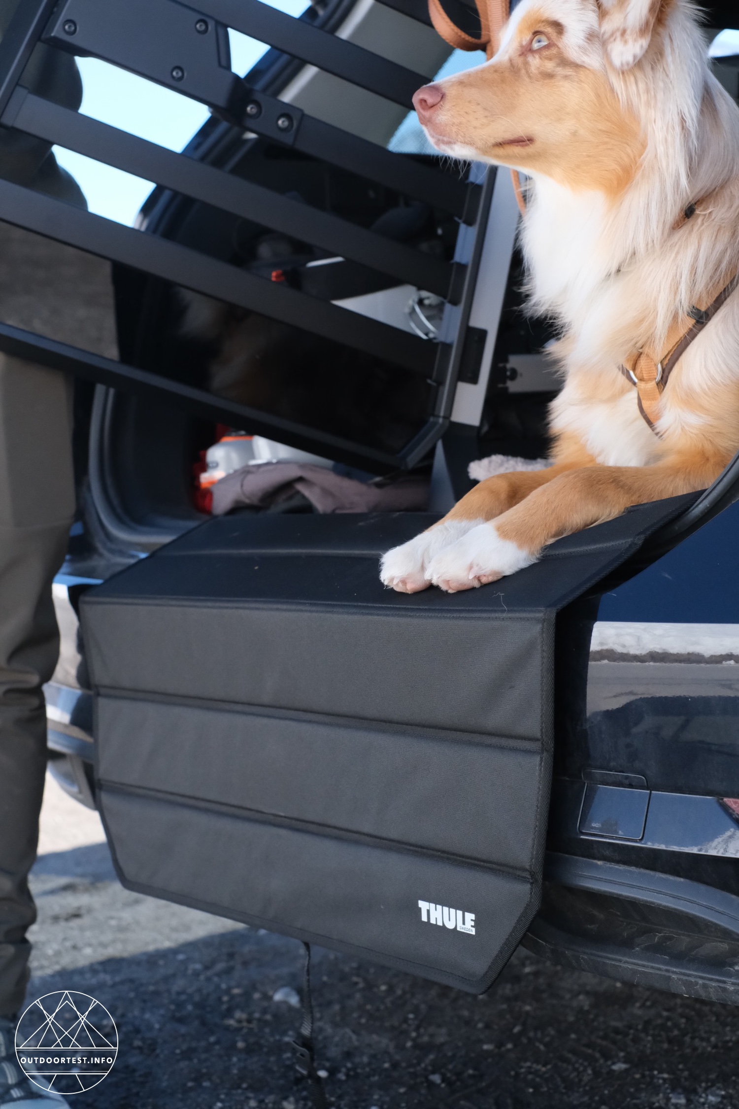 Thule - Allax M Hundebox