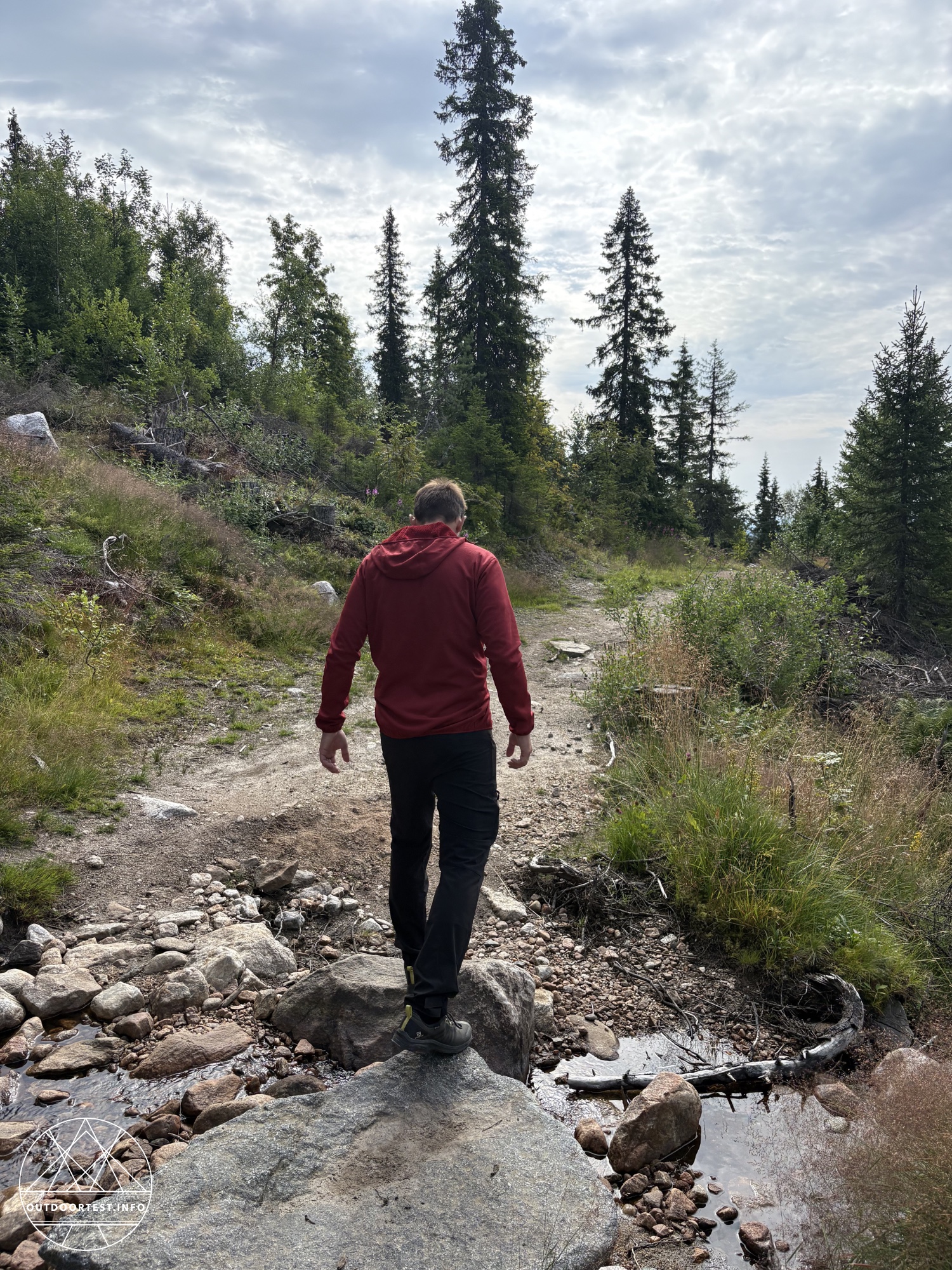 Montane - Men's Zepher Hooded Fleece Jacket