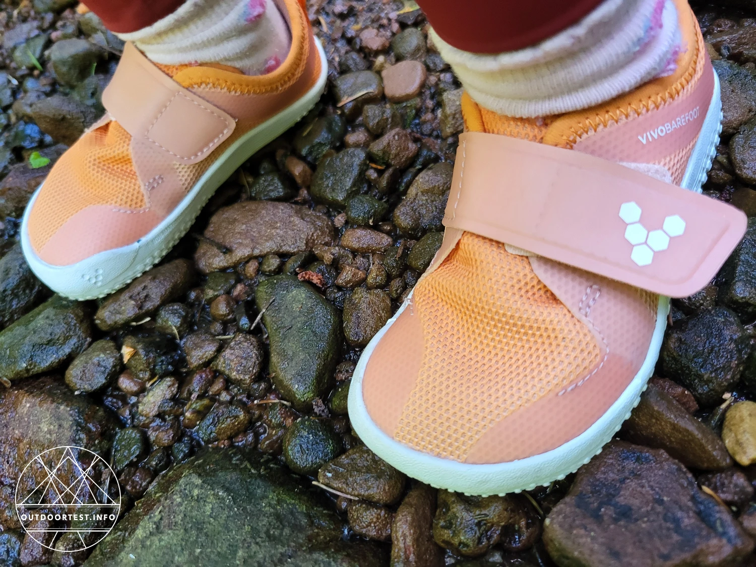 Vivobarefoot - Primus Sport IV Toddlers